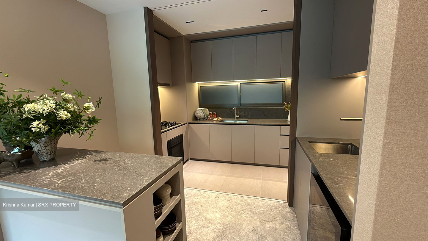 Amber House (D15), Apartment #492524861